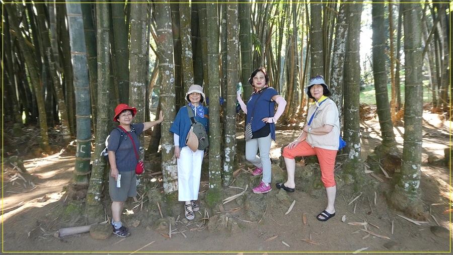 P1011247.jpg?type=w966