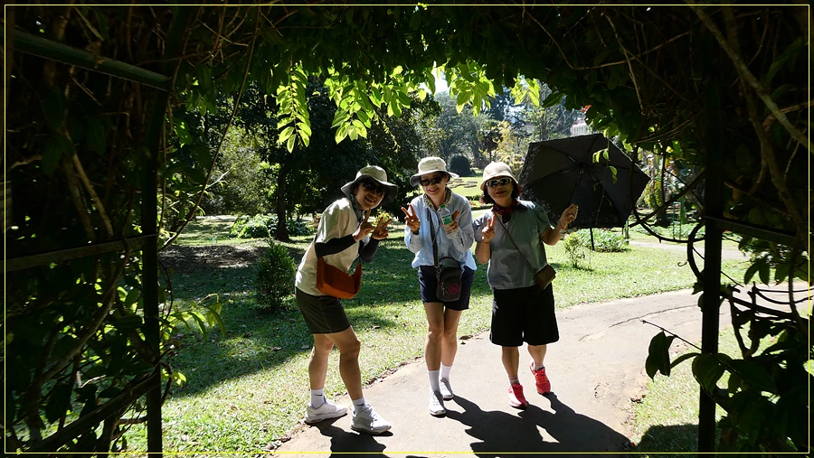 P1011329.jpg?type=w966