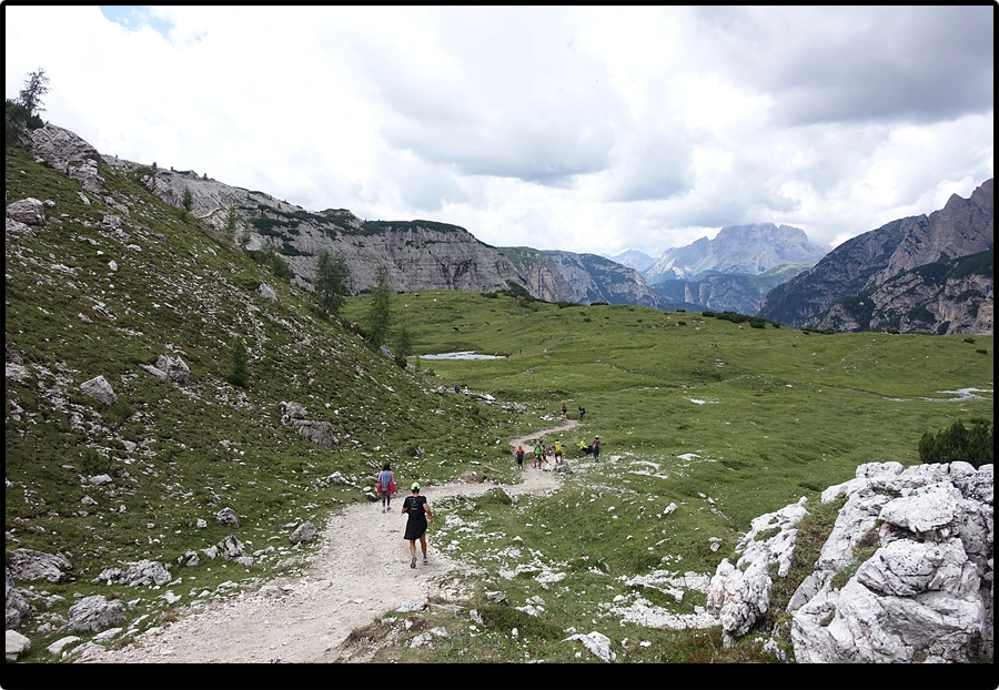 DSC00297.jpg?type=w966&jopt=2