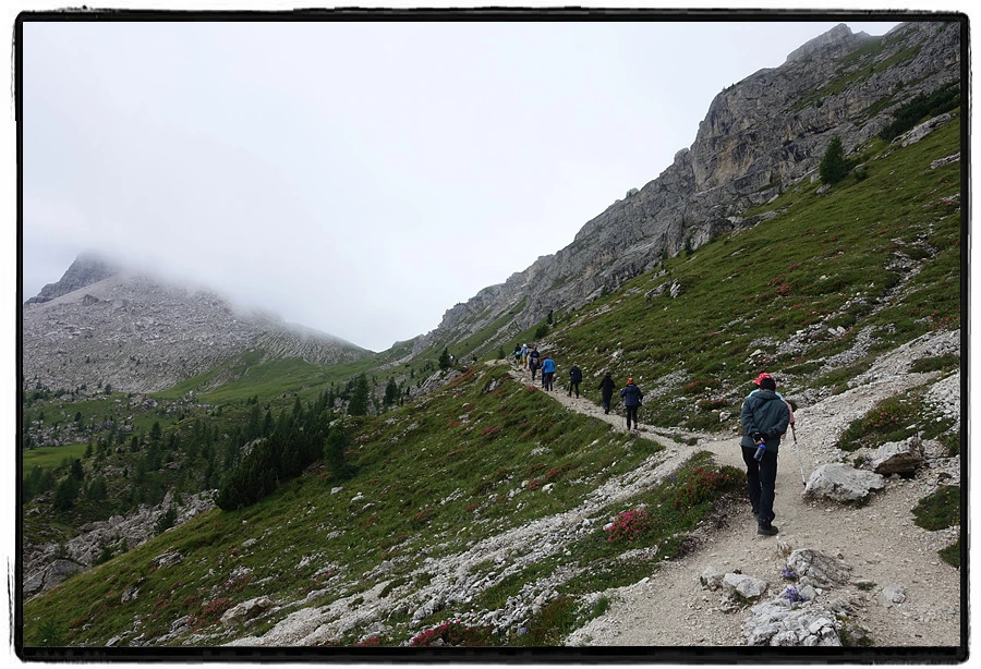 DSC00033.jpg?type=w966&jopt=2