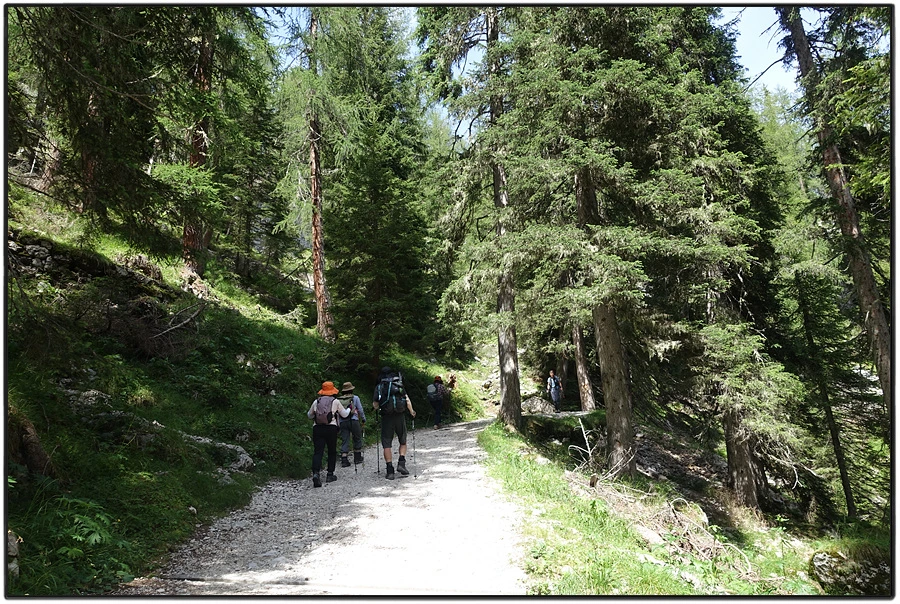 DSC00200.jpg?type=w966&jopt=2