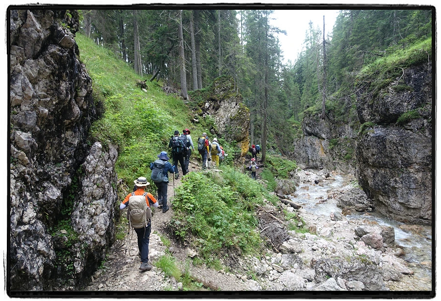 DSC00010.jpg?type=w966&jopt=2