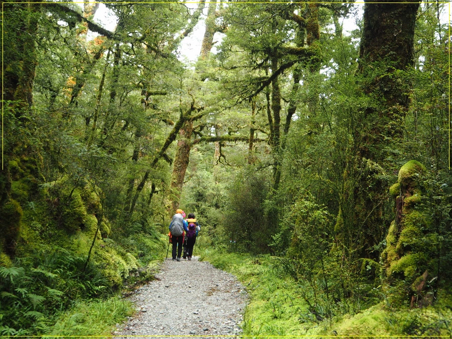 21.jpg?type=w966&jopt=2