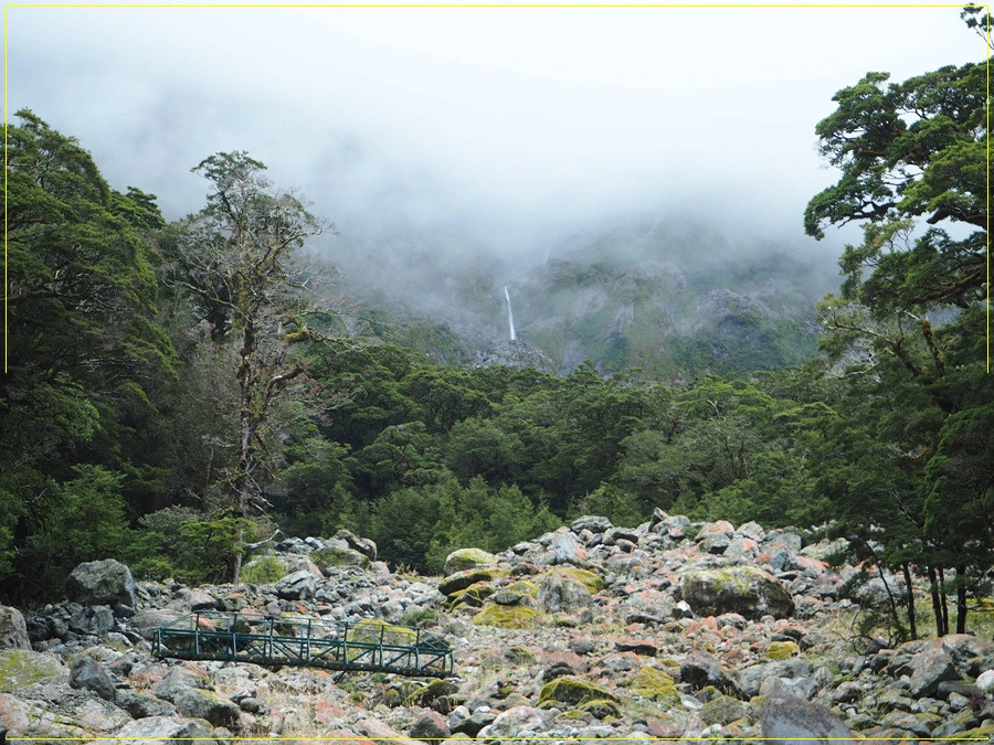 40.jpg?type=w966&jopt=2