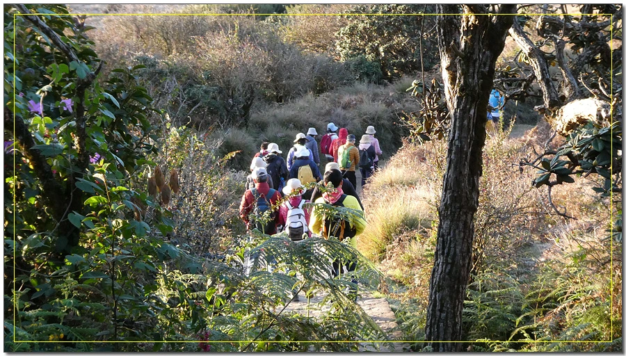 P1011456.jpg?type=w966