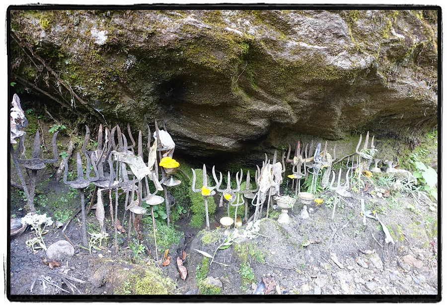 DSC00570.jpg?type=w966