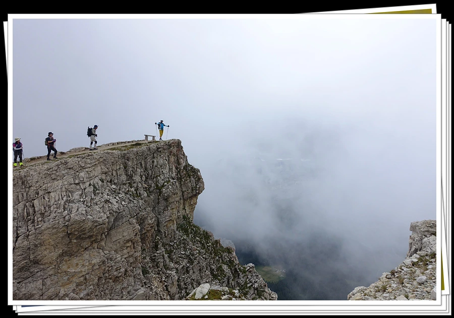 DSC00183.jpg?type=w966&jopt=2