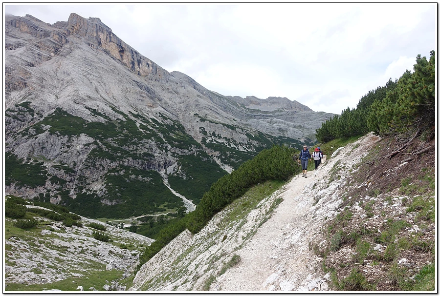 DSC00264.jpg?type=w966&jopt=2