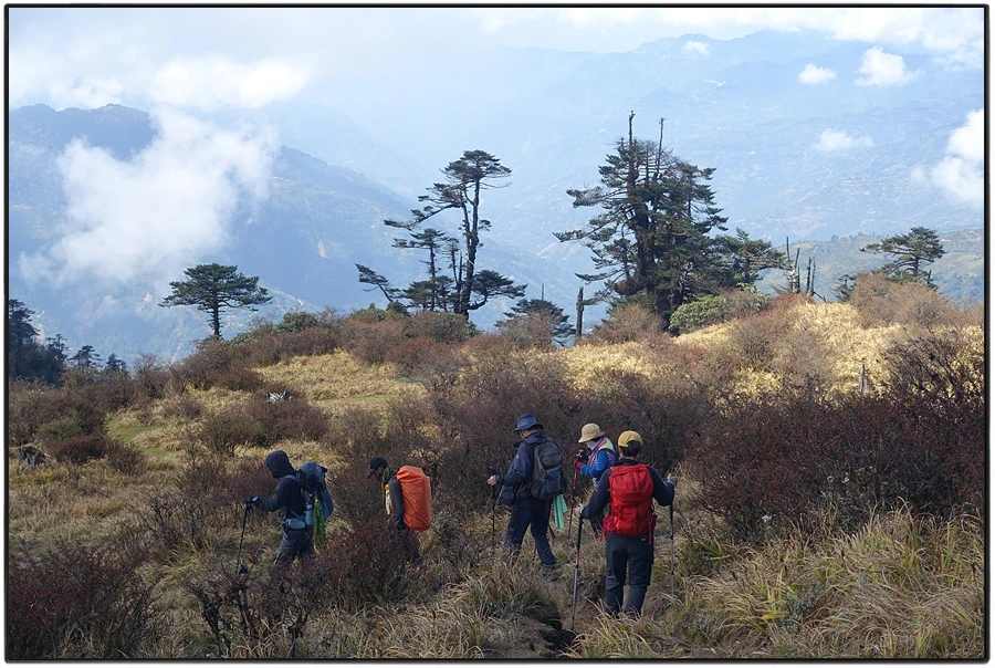 DSC01062.jpg?type=w966