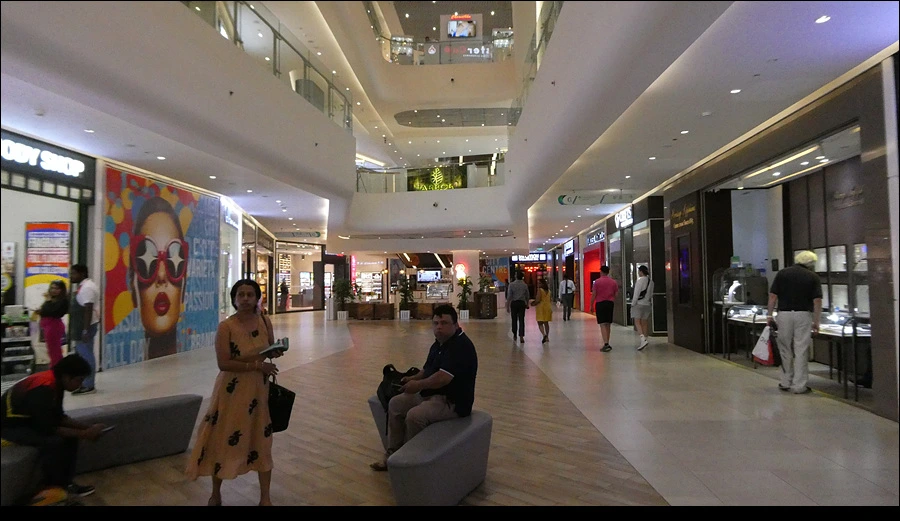 P1022225.jpg?type=w966