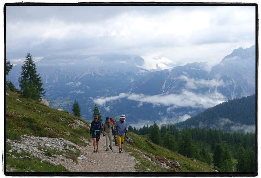 DSC00030.jpg?type=w966&jopt=2