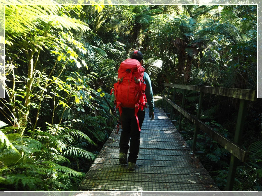 23.jpg?type=w966&jopt=2