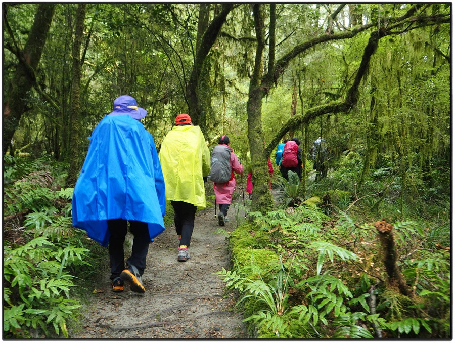 35.jpg?type=w966&jopt=2