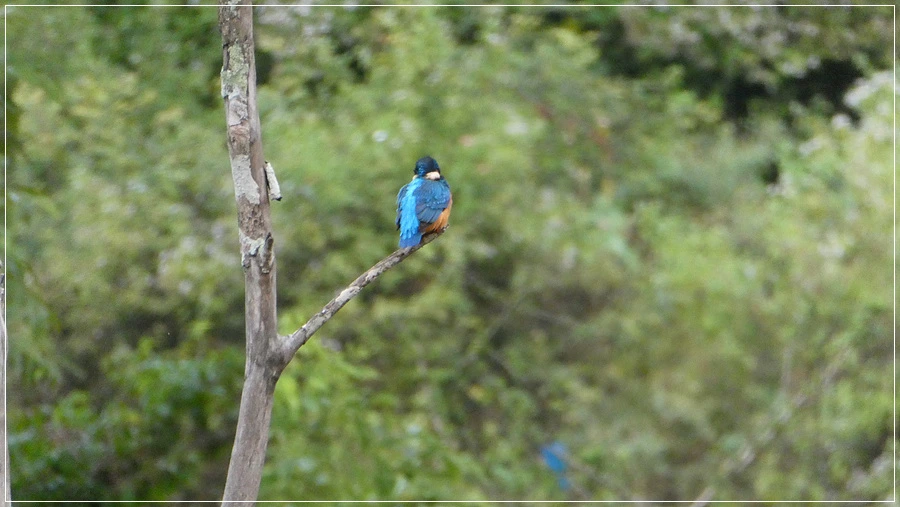 P1021927.jpg?type=w966