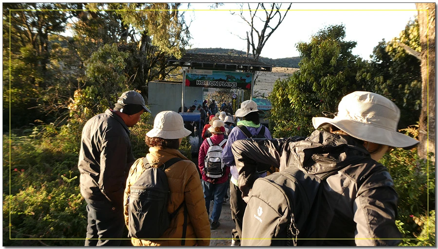 P1011452.jpg?type=w966