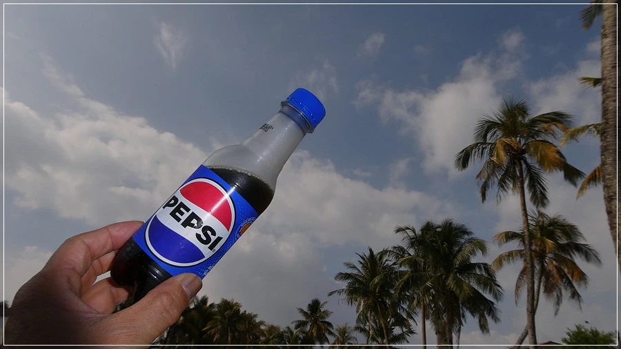 P1022067.jpg?type=w966