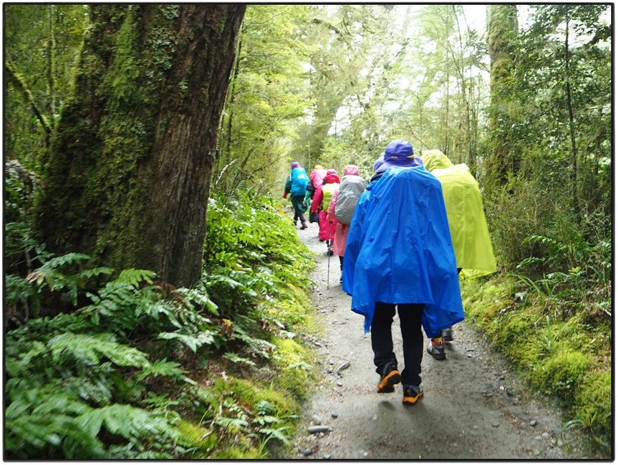 33.jpg?type=w966&jopt=2