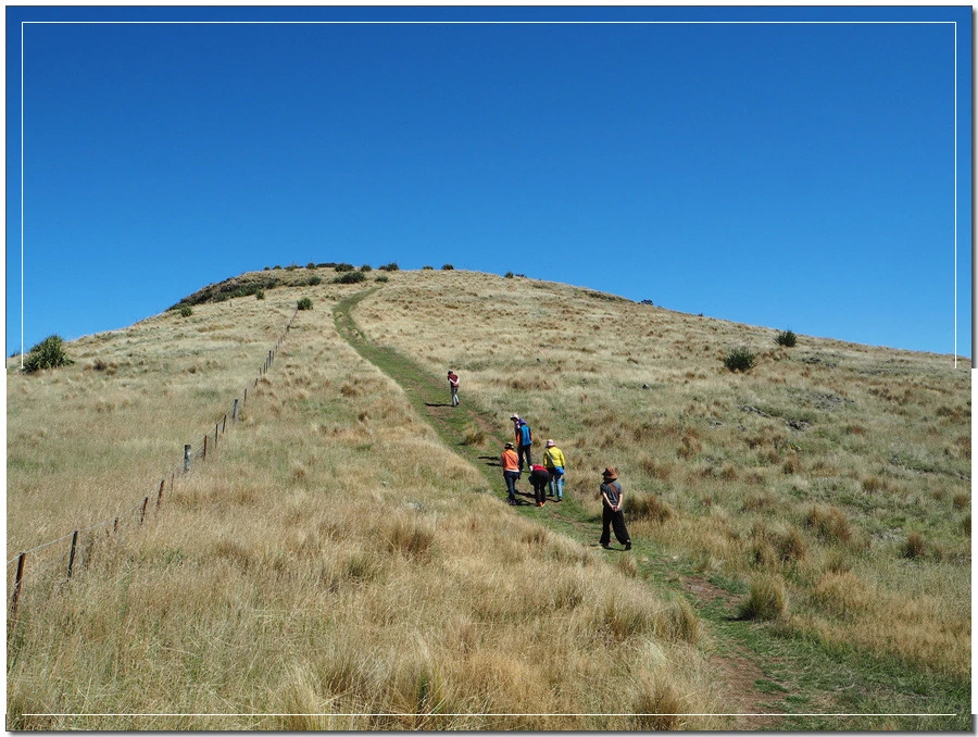 8.jpg?type=w966&jopt=2