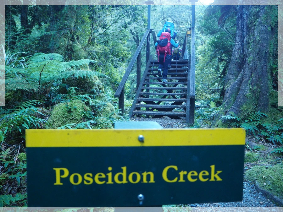 6.jpg?type=w966&jopt=2