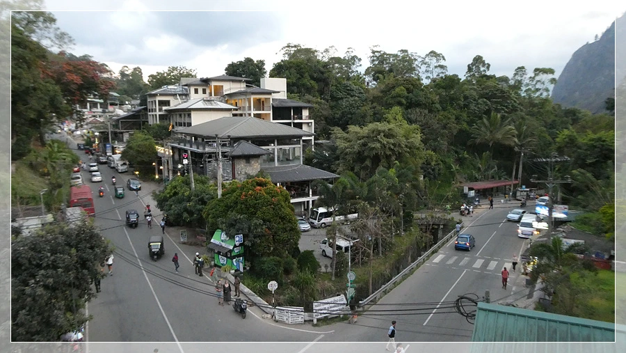 P1011643.jpg?type=w966