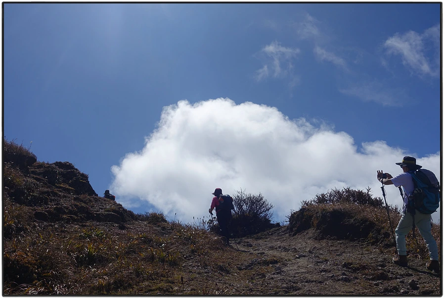 DSC01058.jpg?type=w966