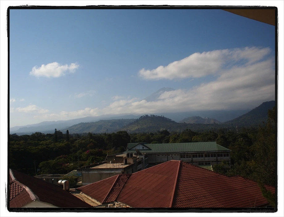 42.jpg?type=w966&jopt=2