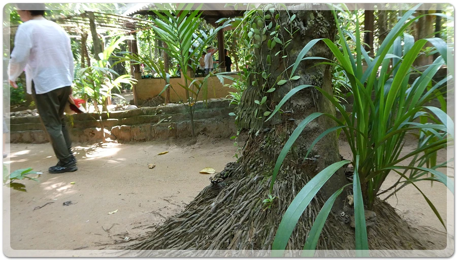 P1011135.jpg?type=w966