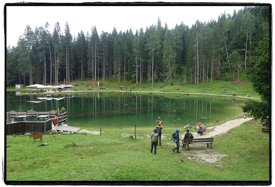 DSC00043.jpg?type=w966&jopt=2