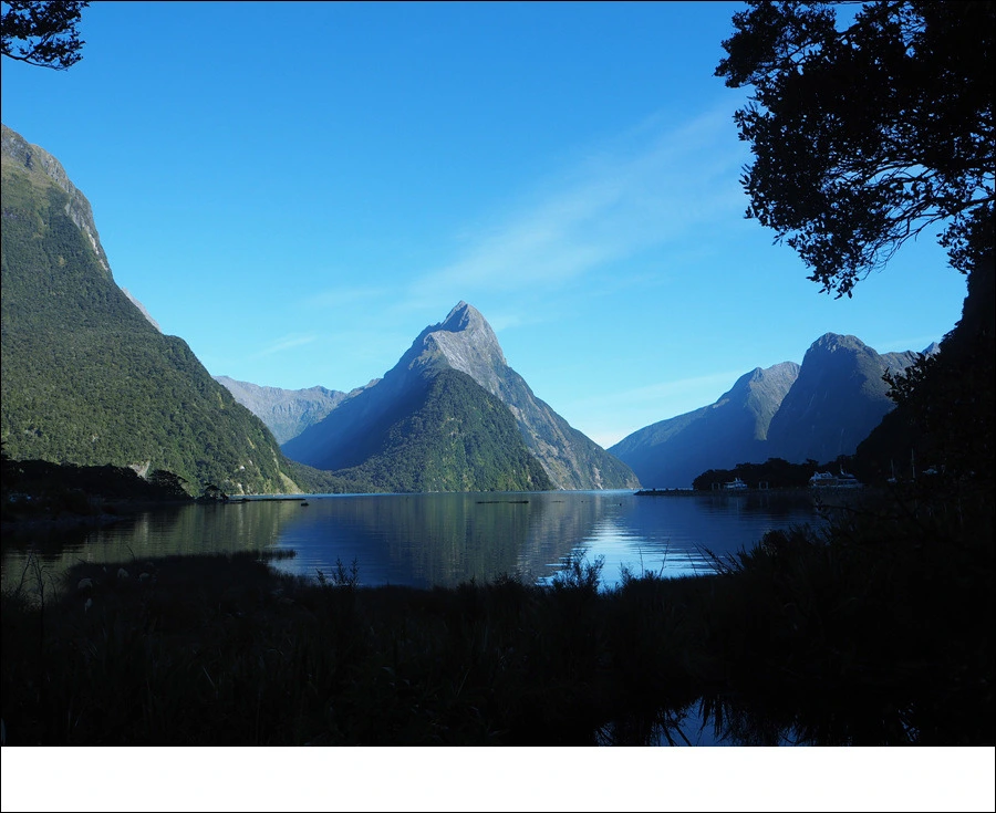 16.jpg?type=w966&jopt=2