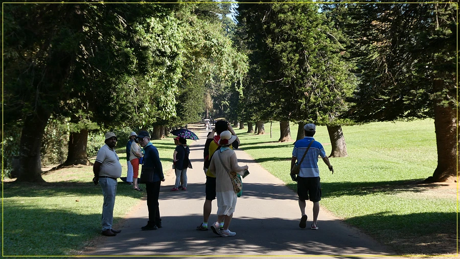 P1011259.jpg?type=w966