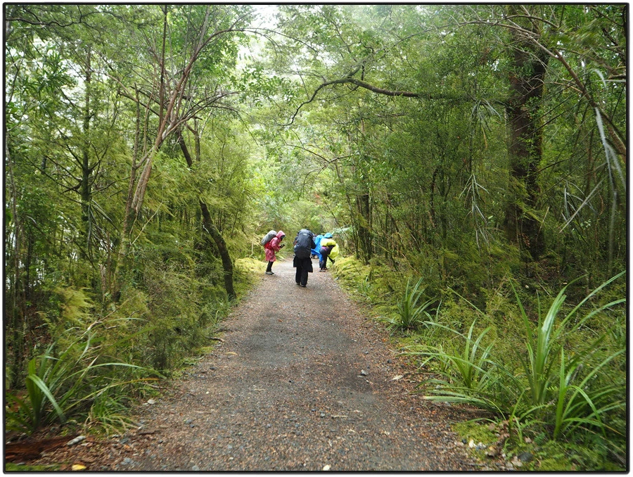 26.jpg?type=w966&jopt=2