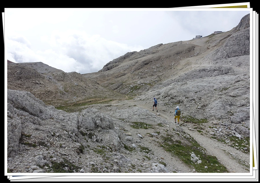 DSC00106.jpg?type=w966&jopt=2