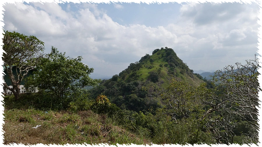 P1010869.jpg?type=w966