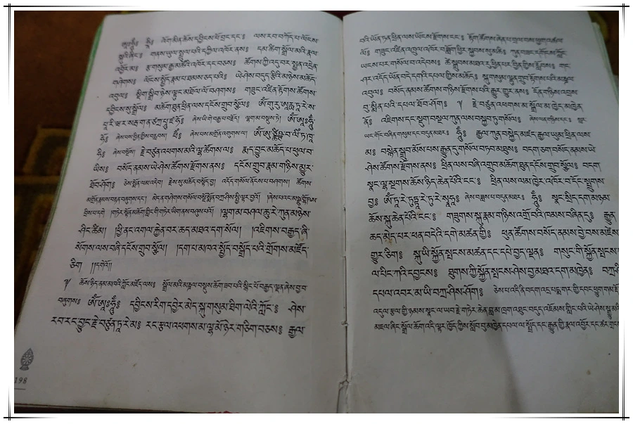 DSC01422.jpg?type=w966