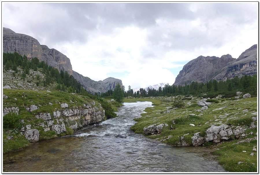 DSC00223.jpg?type=w966&jopt=2