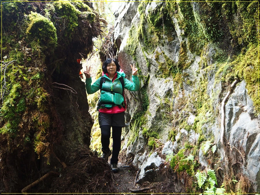 13.jpg?type=w966&jopt=2