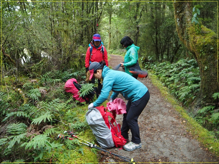 5.jpg?type=w966&jopt=2