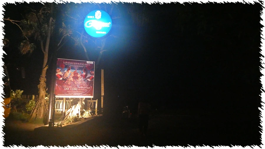 P1010810.jpg?type=w966