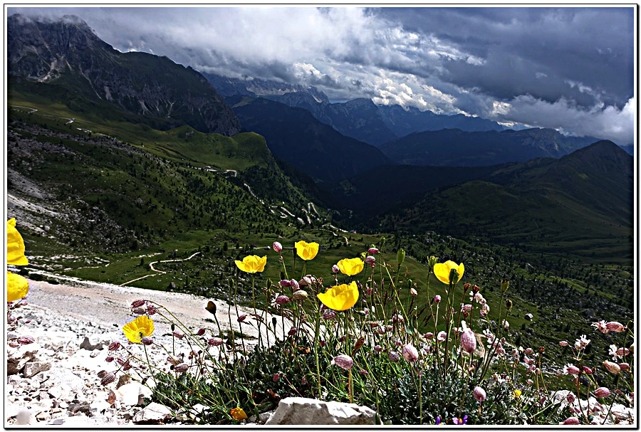 7.jpg?type=w966&jopt=2