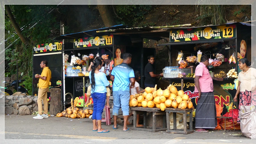 P1021856.jpg?type=w966