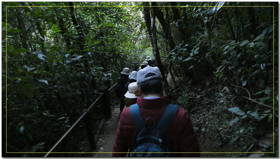 P1011481.jpg?type=w966