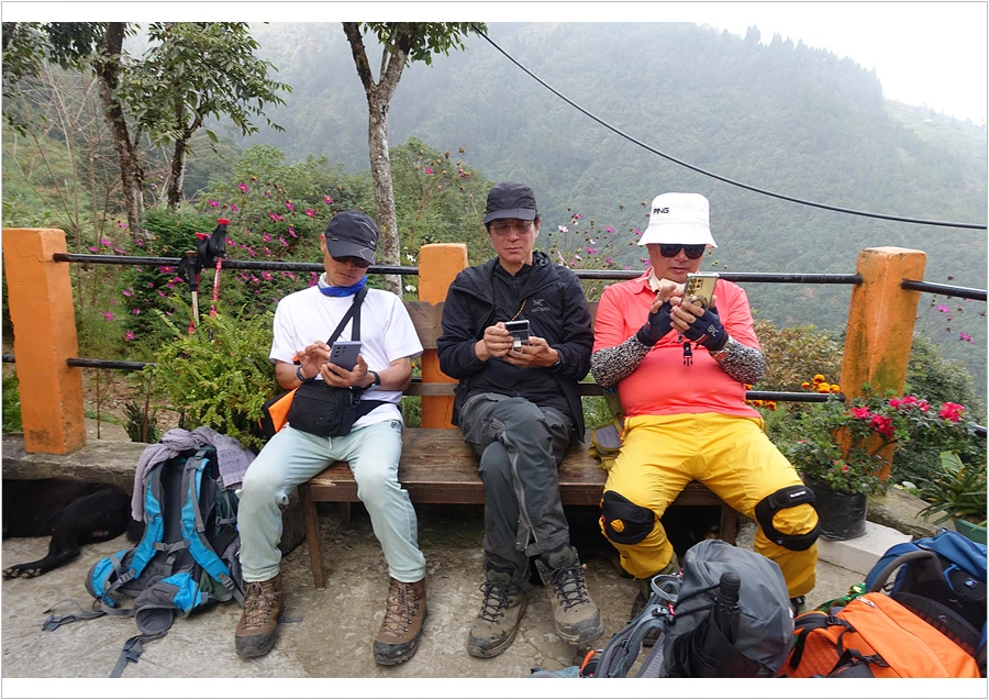 DSC01218.jpg?type=w966