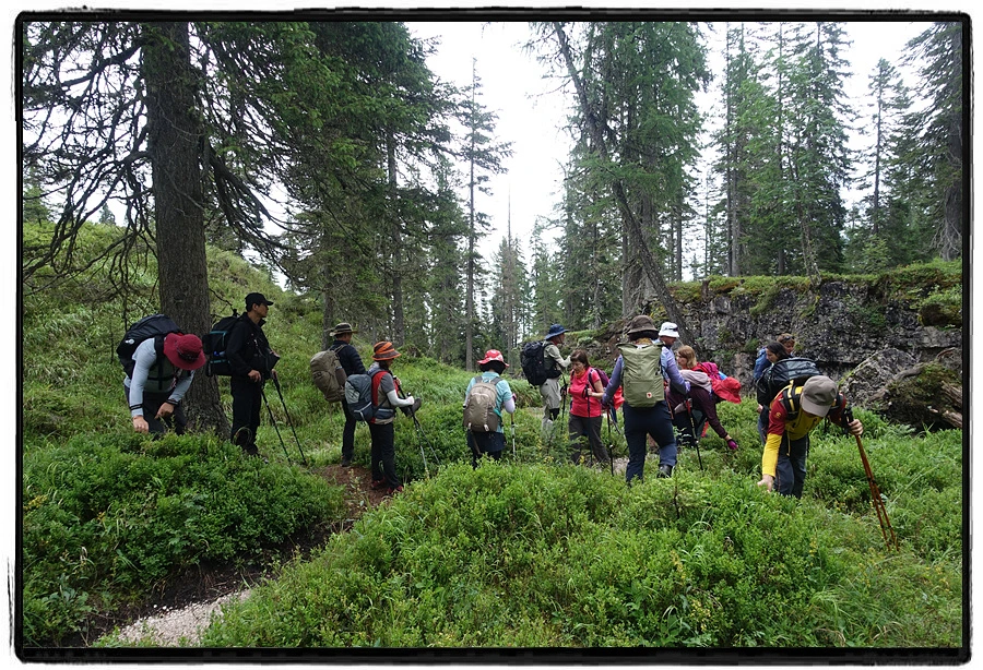 DSC00173.jpg?type=w966&jopt=2