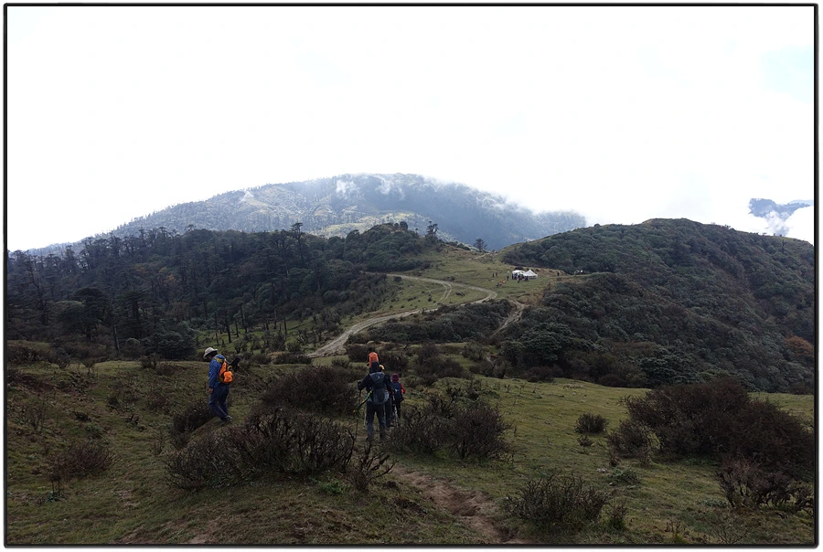 DSC01067.jpg?type=w966