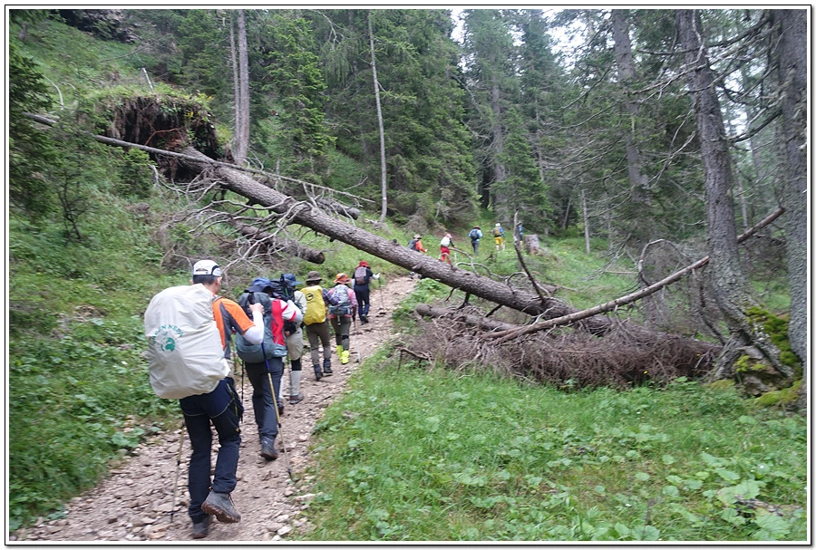 DSC00155.jpg?type=w966&jopt=2