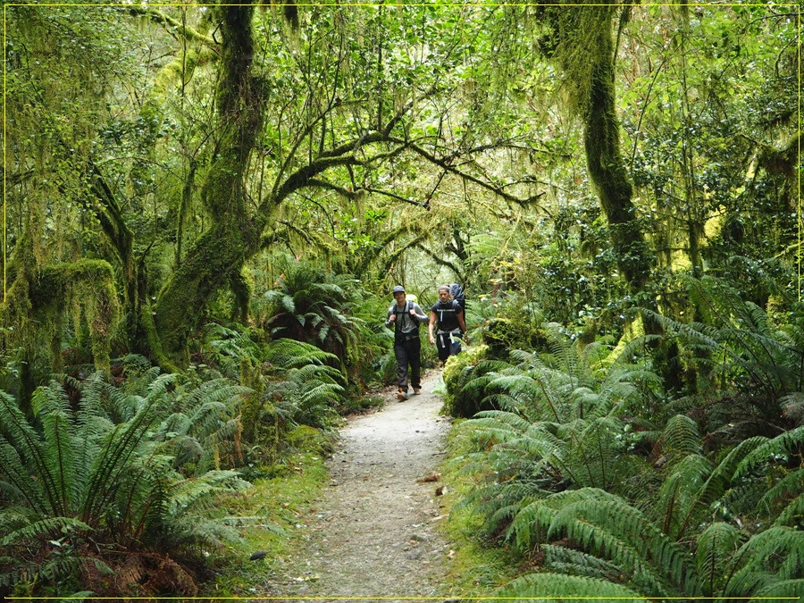 28.jpg?type=w966&jopt=2