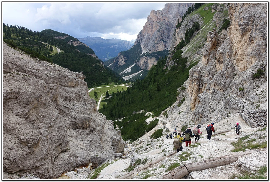 DSC00390.jpg?type=w966&jopt=2