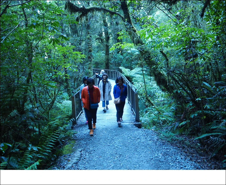 13.jpg?type=w966&jopt=2