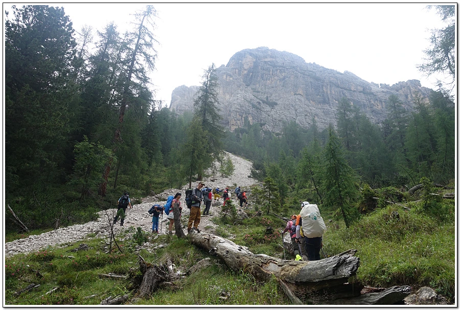 DSC00159.jpg?type=w966&jopt=2