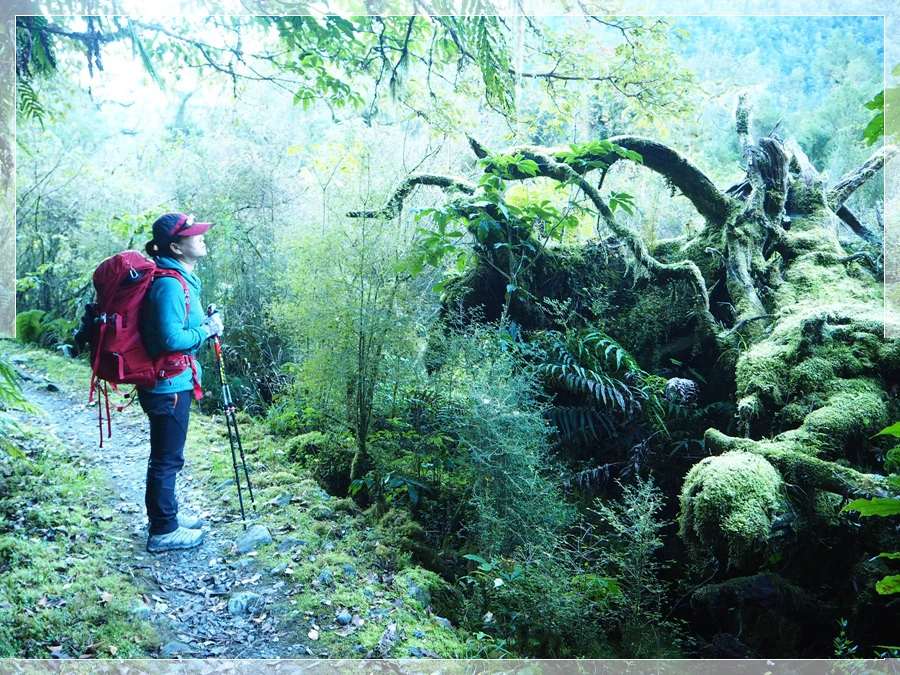 5.jpg?type=w966&jopt=2